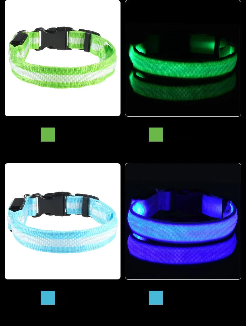 Luminous LED Night Safety Dog Leash – Glow-in-the-Dark, Flashing Nylon Leash for Night Walks