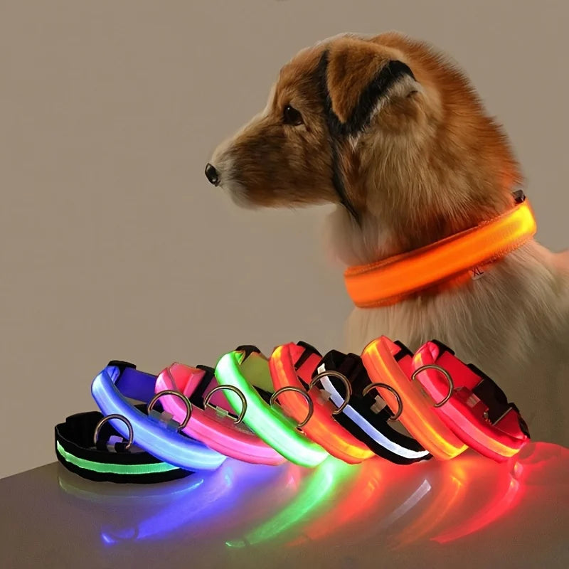 Luminous LED Night Safety Dog Leash – Glow-in-the-Dark, Flashing Nylon Leash for Night Walks