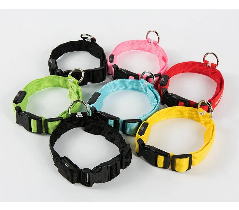 Luminous LED Night Safety Dog Leash – Glow-in-the-Dark, Flashing Nylon Leash for Night Walks