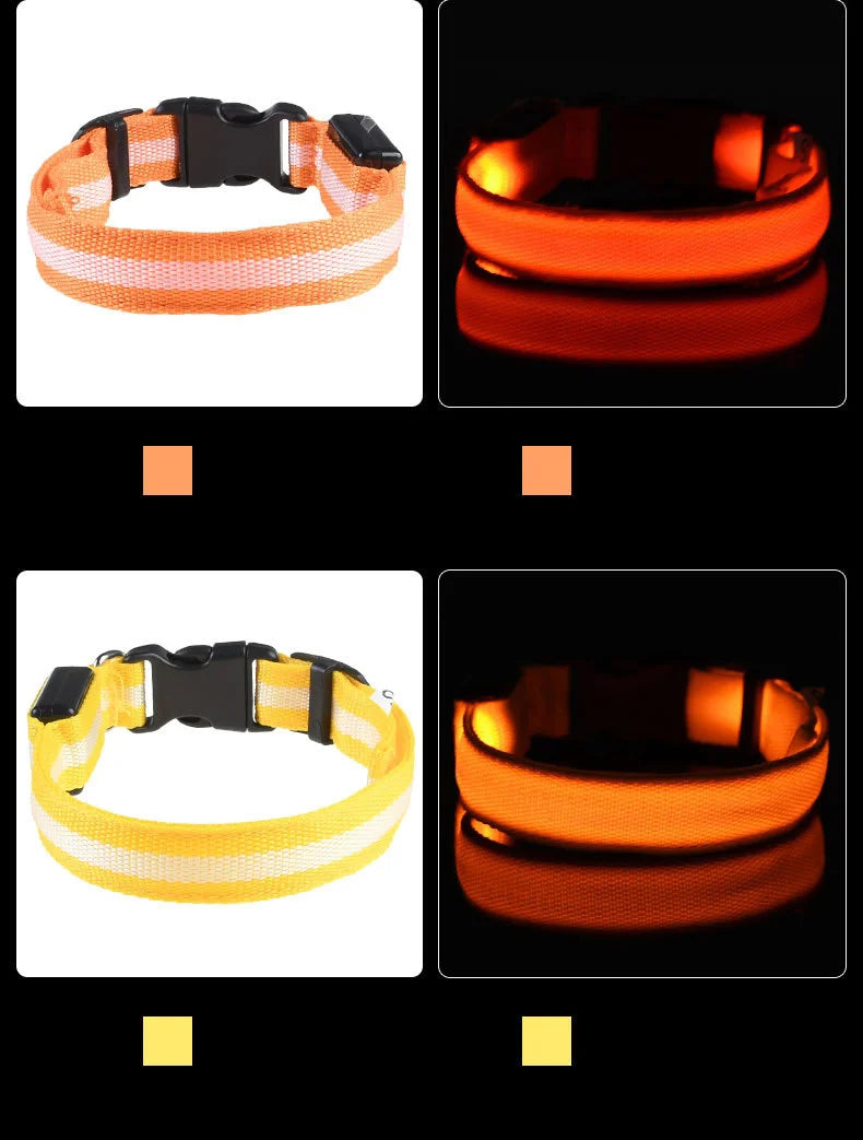 Luminous LED Night Safety Dog Leash – Glow-in-the-Dark, Flashing Nylon Leash for Night Walks