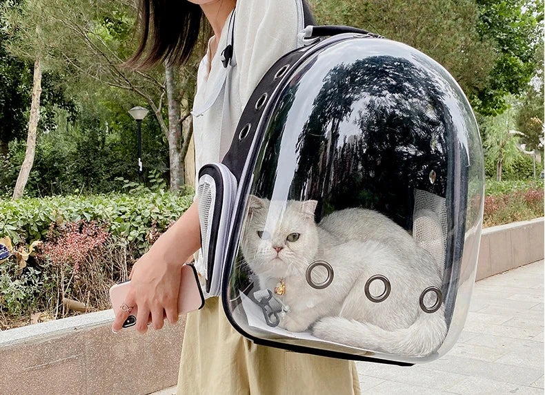 Transparent Space Capsule Pet Backpack β Breathable, Portable & Clear Carrying Bag for Cats & Small Dogs