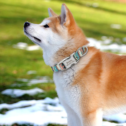 Personalized Printed Nylon Dog Collar + Free Engraved ID Plate – Adjustable for Small, Medium & Large Dogs