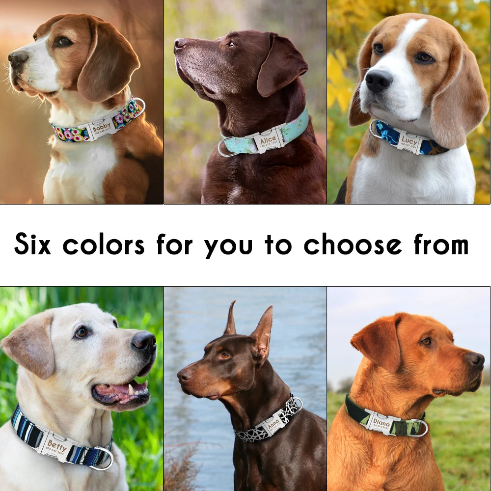Personalized Printed Nylon Dog Collar + Free Engraved ID Plate – Adjustable for Small, Medium & Large Dogs