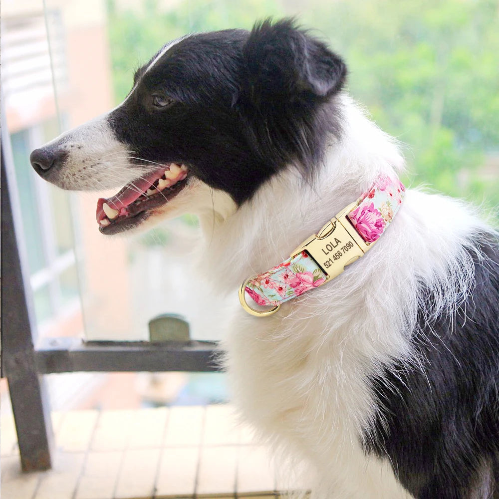 Personalized Printed Nylon Dog Collar + Free Engraved ID Plate – Adjustable for Small, Medium & Large Dogs