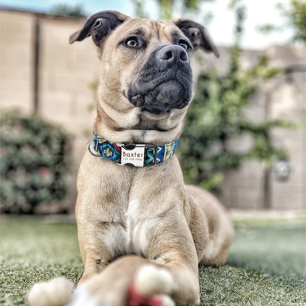 Personalized Printed Nylon Dog Collar + Free Engraved ID Plate – Adjustable for Small, Medium & Large Dogs
