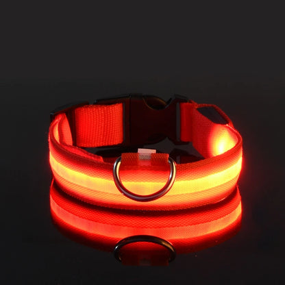 Luminous LED Night Safety Dog Leash – Glow-in-the-Dark, Flashing Nylon Leash for Night Walks