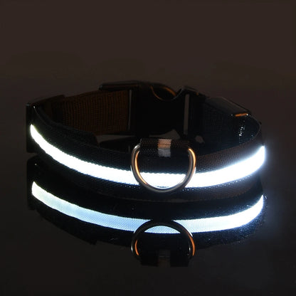 Luminous LED Night Safety Dog Leash – Glow-in-the-Dark, Flashing Nylon Leash for Night Walks