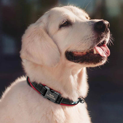 Reflective Personalized Nylon Dog Collar with Engraved ID Tag – Soft Padded, Adjustable for Small to Large Breeds