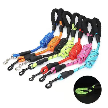 Strong Reflective Nylon Dog Leash – Heavy-Duty, Extra Safe for Big, Medium & Small Dogs