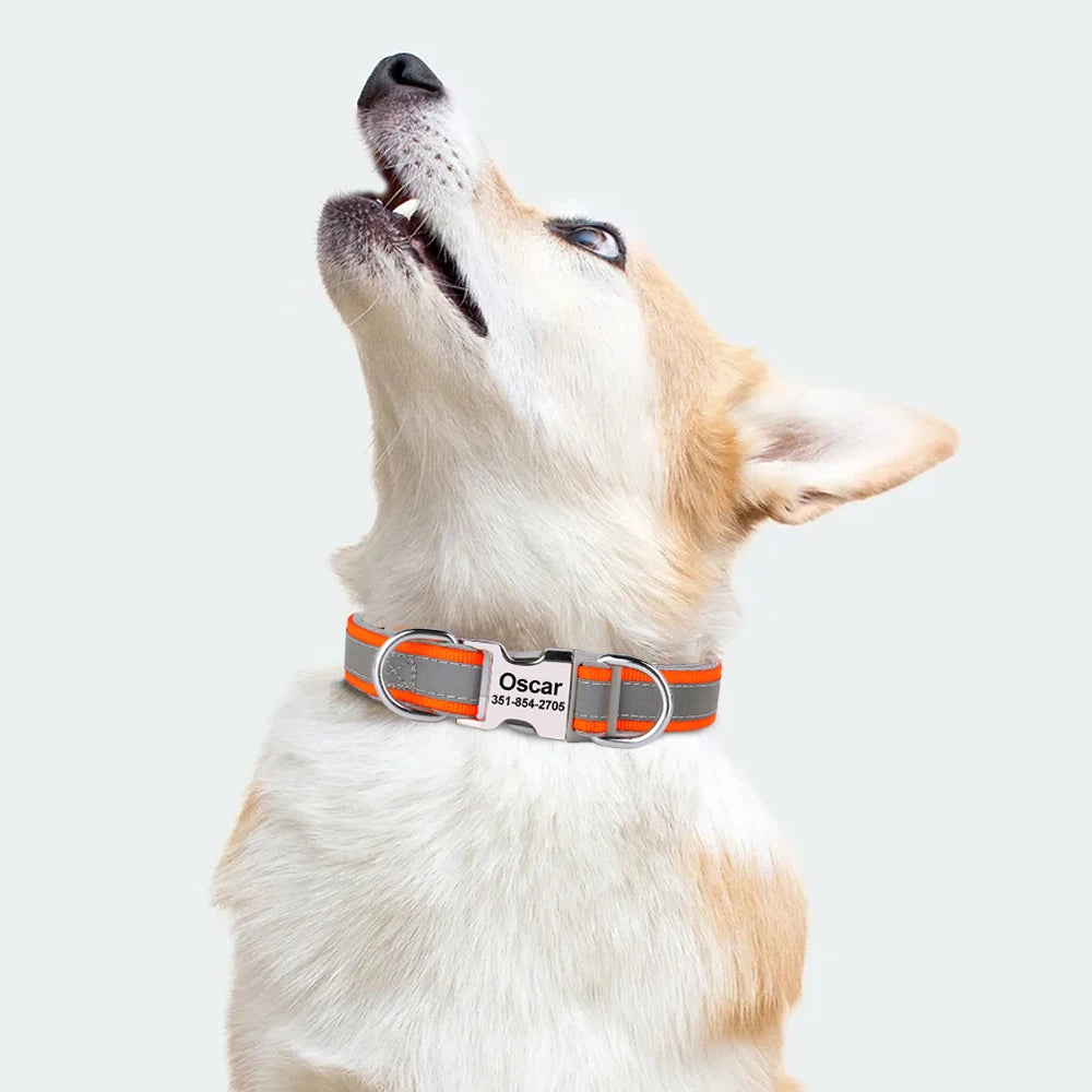 Reflective Personalized Nylon Dog Collar with Engraved ID Tag – Soft Padded, Adjustable for Small to Large Breeds