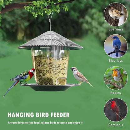 Window Bird Feeder House – Transparent Plastic Seed Dispenser & Peanut Station