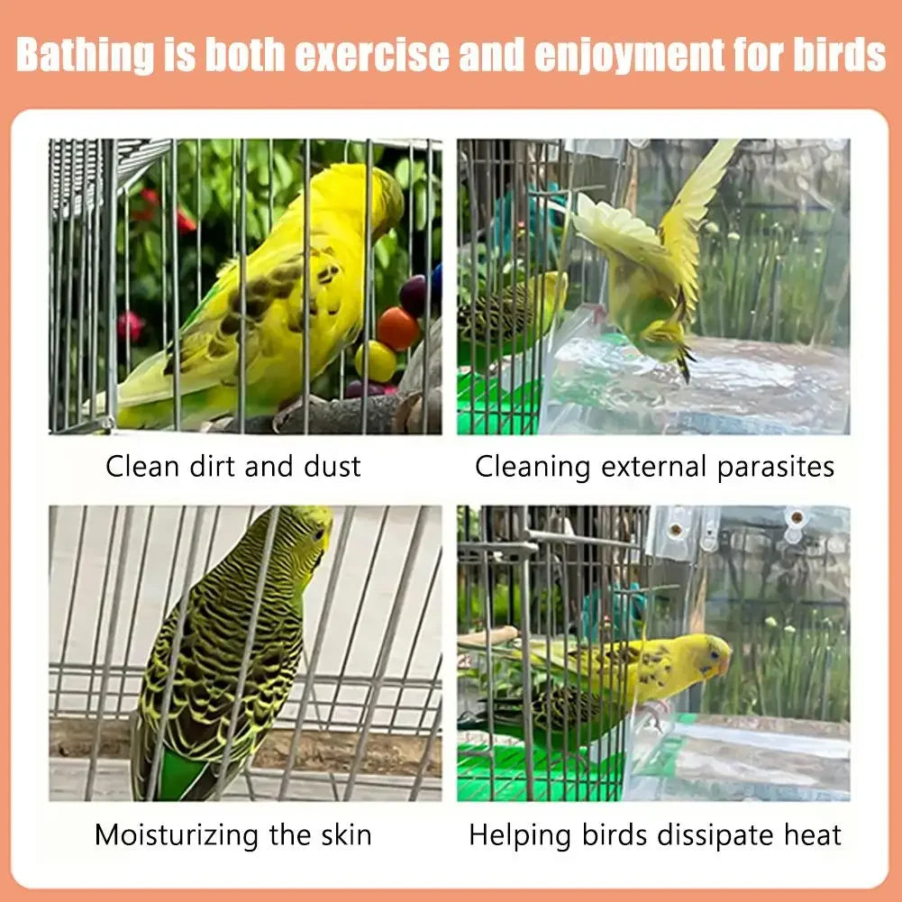 Window Bird Feeder House – Transparent Plastic Seed Dispenser & Peanut Station