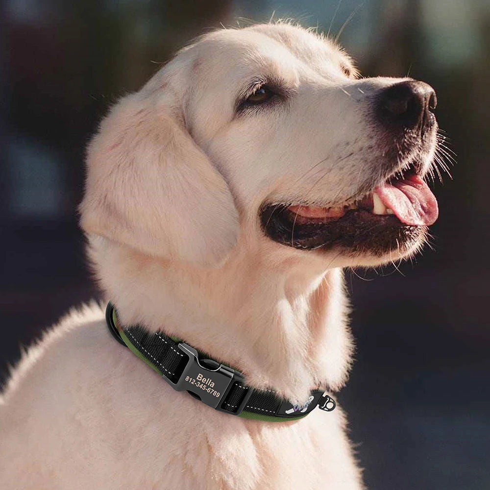 Reflective Personalized Nylon Dog Collar with Engraved ID Tag – Soft Padded, Adjustable for Small to Large Breeds
