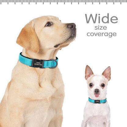 Reflective Personalized Nylon Dog Collar with Engraved ID Tag – Soft Padded, Adjustable for Small to Large Breeds