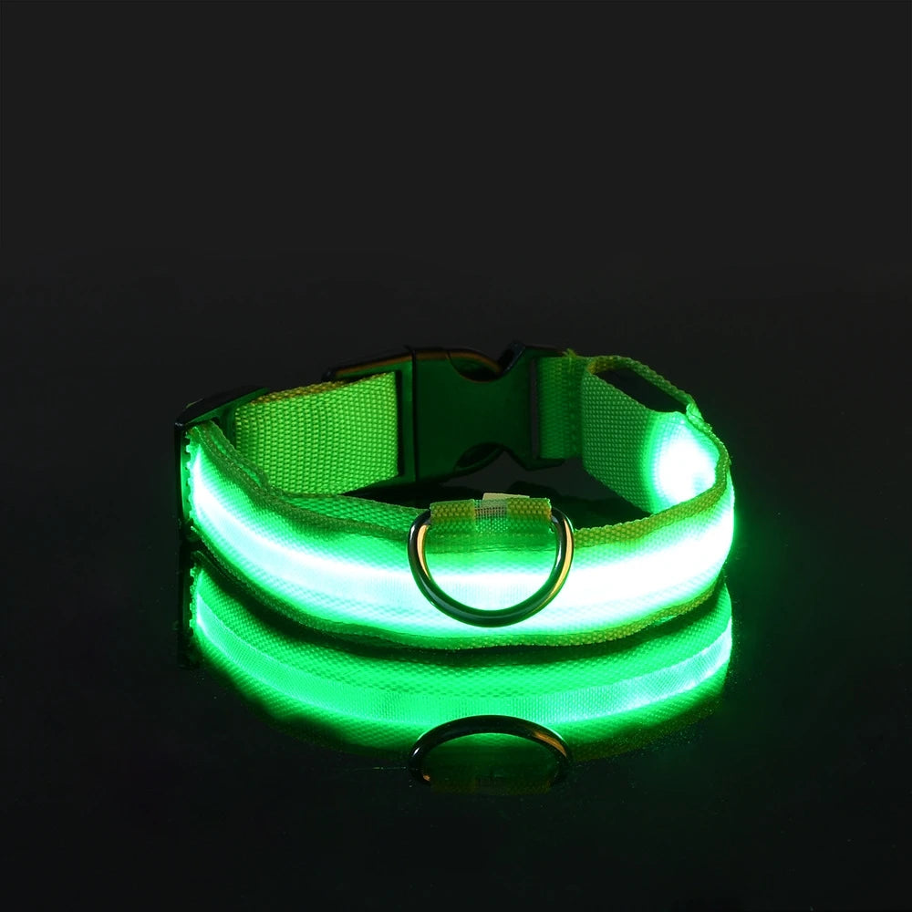 Luminous LED Night Safety Dog Leash – Glow-in-the-Dark, Flashing Nylon Leash for Night Walks