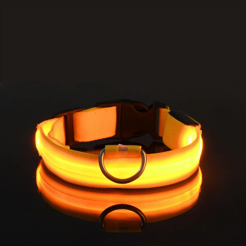 Luminous LED Night Safety Dog Leash – Glow-in-the-Dark, Flashing Nylon Leash for Night Walks