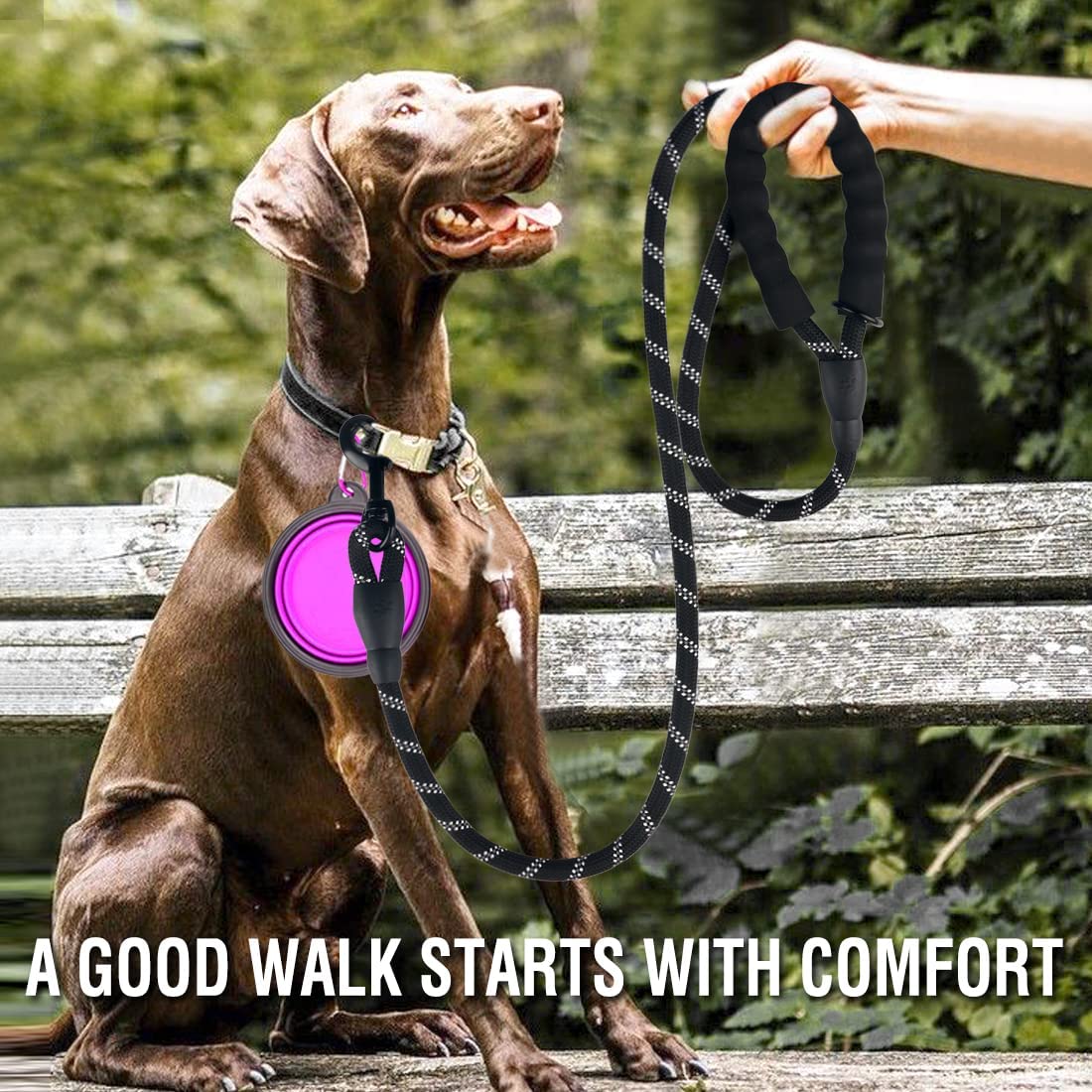 Strong Reflective Nylon Dog Leash – Heavy-Duty, Extra Safe for Big, Medium & Small Dogs
