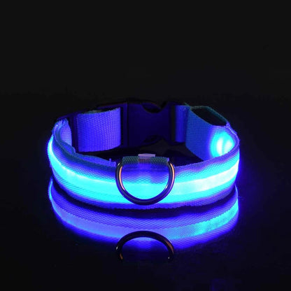 Luminous LED Night Safety Dog Leash – Glow-in-the-Dark, Flashing Nylon Leash for Night Walks
