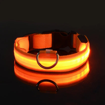 Luminous LED Night Safety Dog Leash – Glow-in-the-Dark, Flashing Nylon Leash for Night Walks