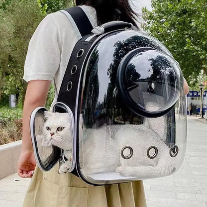 Transparent Space Capsule Pet Backpack – Breathable, Portable & Clear Carrying Bag for Cats & Small Dogs