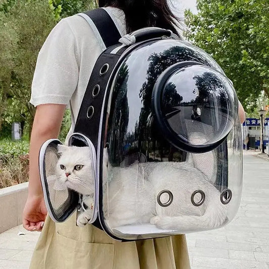 Transparent Space Capsule Pet Backpack – Breathable, Portable & Clear Carrying Bag for Cats & Small Dogs