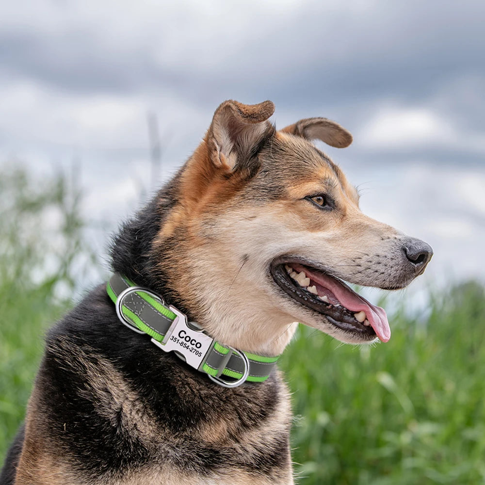 Reflective Personalized Nylon Dog Collar with Engraved ID Tag – Soft Padded, Adjustable for Small to Large Breeds