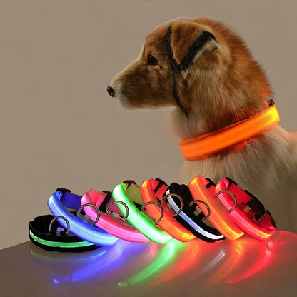 Luminous LED Night Safety Dog Leash – Glow-in-the-Dark, Flashing Nylon Leash for Night Walks