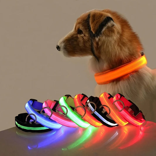 Luminous LED Night Safety Dog Leash – Glow-in-the-Dark, Flashing Nylon Leash for Night Walks