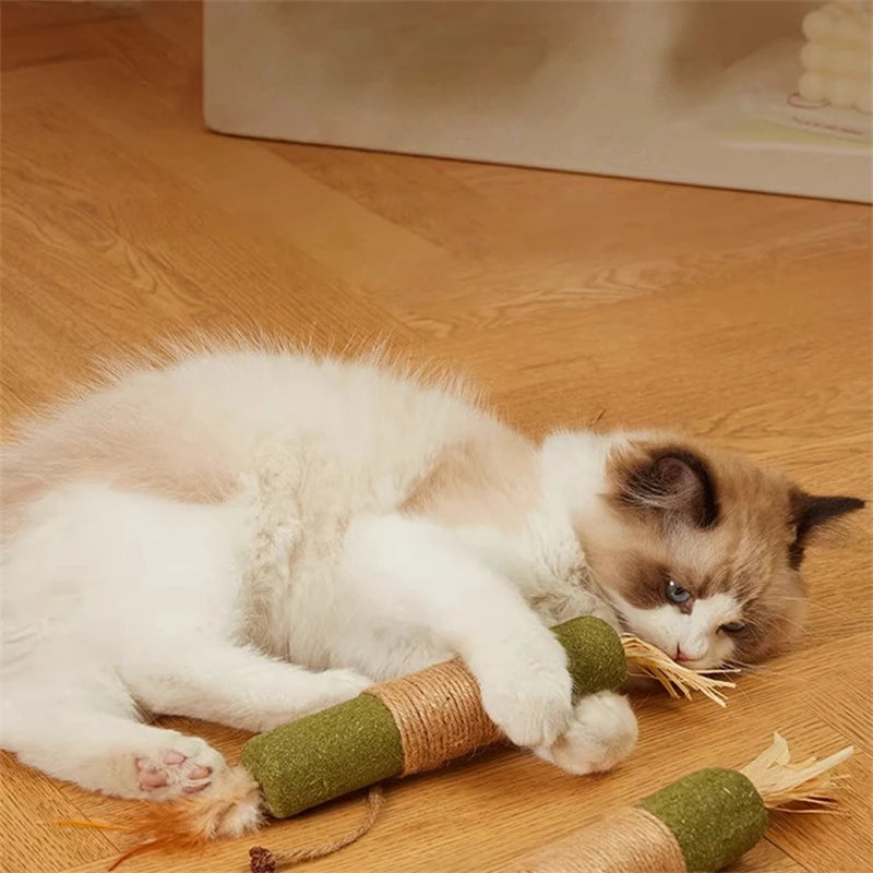 Interactive Plush Catnip Ball Toy – Sound & Touch Activated Smart Cat Ball