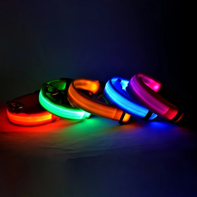Luminous LED Night Safety Dog Leash – Glow-in-the-Dark, Flashing Nylon Leash for Night Walks