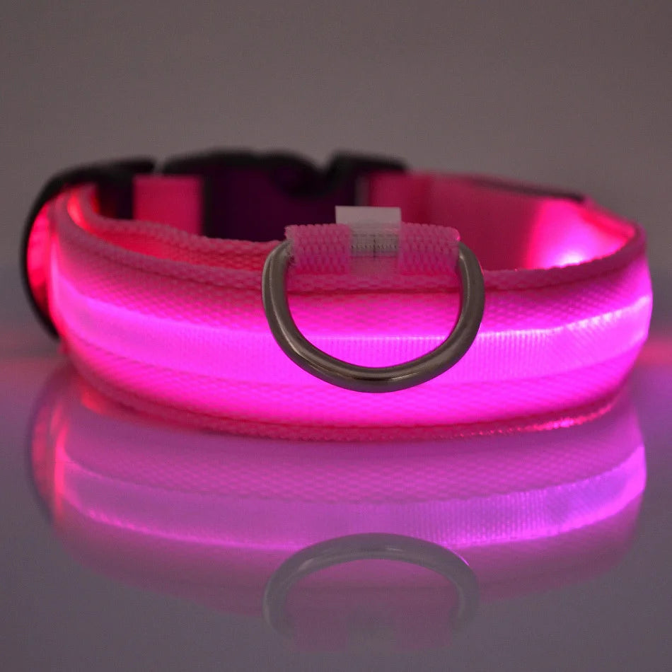 Luminous LED Night Safety Dog Leash – Glow-in-the-Dark, Flashing Nylon Leash for Night Walks