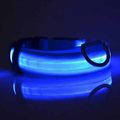Luminous LED Night Safety Dog Leash – Glow-in-the-Dark, Flashing Nylon Leash for Night Walks