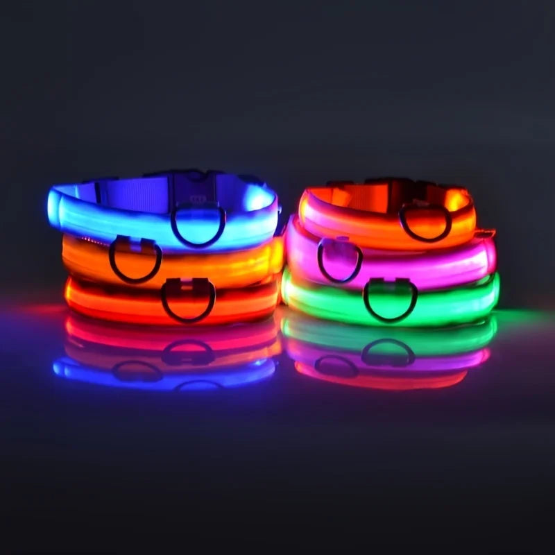 Luminous LED Night Safety Dog Leash – Glow-in-the-Dark, Flashing Nylon Leash for Night Walks