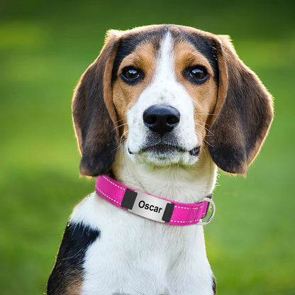 Reflective Personalized Nylon Dog Collar with Engraved ID Tag – Soft Padded, Adjustable for Small to Large Breeds