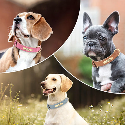 Personalized PU Leather Dog Collar with Engraved ID Nameplate – Anti-Lost, Adjustable for Small, Medium & Large Dogs
