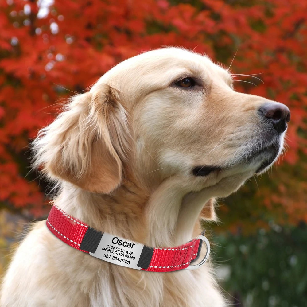 Reflective Personalized Nylon Dog Collar with Engraved ID Tag – Soft Padded, Adjustable for Small to Large Breeds