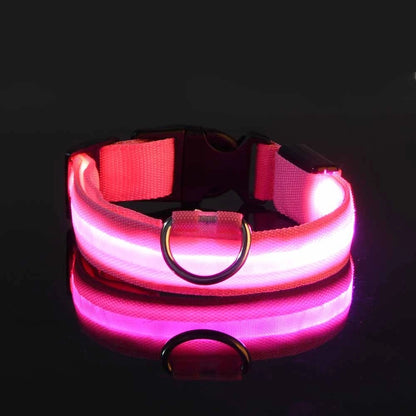 Luminous LED Night Safety Dog Leash – Glow-in-the-Dark, Flashing Nylon Leash for Night Walks