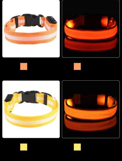Luminous LED Night Safety Dog Leash – Glow-in-the-Dark, Flashing Nylon Leash for Night Walks