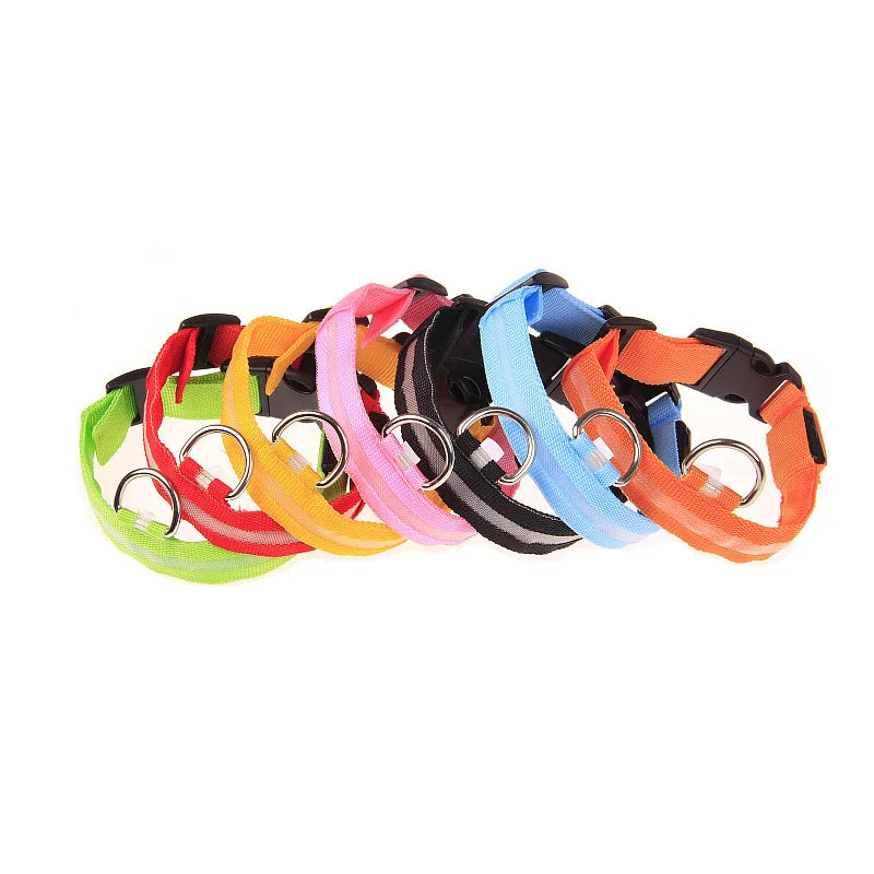 Luminous LED Night Safety Dog Leash – Glow-in-the-Dark, Flashing Nylon Leash for Night Walks