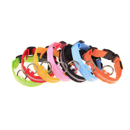 Luminous LED Night Safety Dog Leash – Glow-in-the-Dark, Flashing Nylon Leash for Night Walks