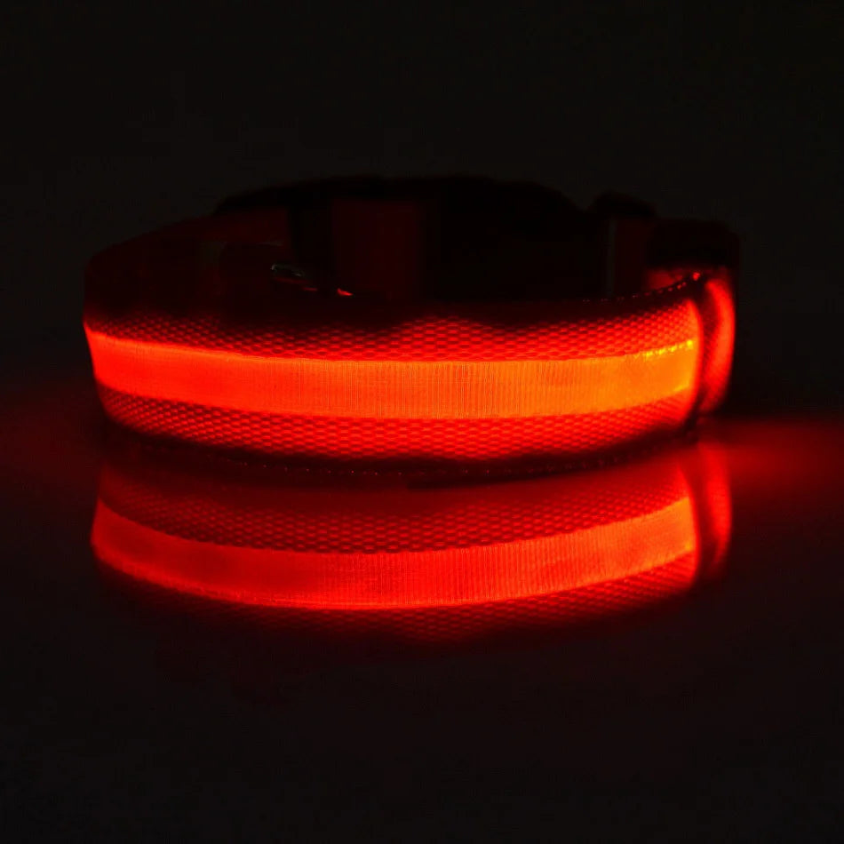 Luminous LED Night Safety Dog Leash – Glow-in-the-Dark, Flashing Nylon Leash for Night Walks