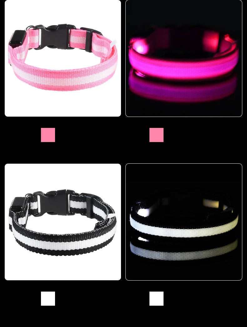 Luminous LED Night Safety Dog Leash – Glow-in-the-Dark, Flashing Nylon Leash for Night Walks