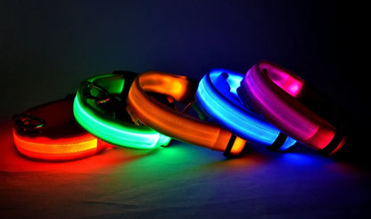 Luminous LED Night Safety Dog Leash – Glow-in-the-Dark, Flashing Nylon Leash for Night Walks