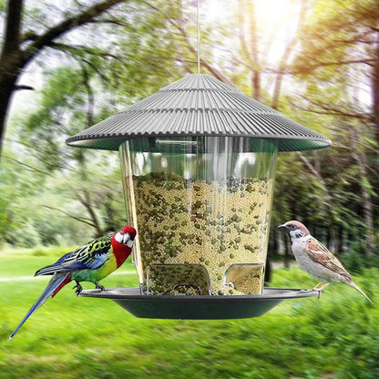 Window Bird Feeder House – Transparent Plastic Seed Dispenser & Peanut Station