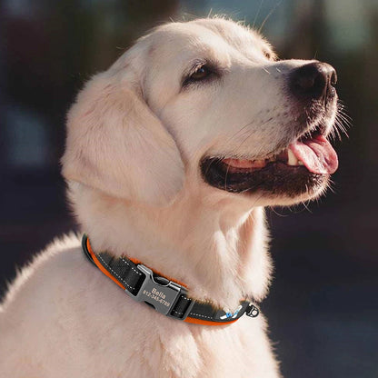 Reflective Personalized Nylon Dog Collar with Engraved ID Tag – Soft Padded, Adjustable for Small to Large Breeds