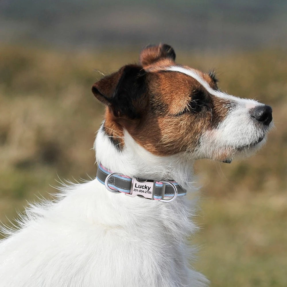Reflective Personalized Nylon Dog Collar with Engraved ID Tag – Soft Padded, Adjustable for Small to Large Breeds