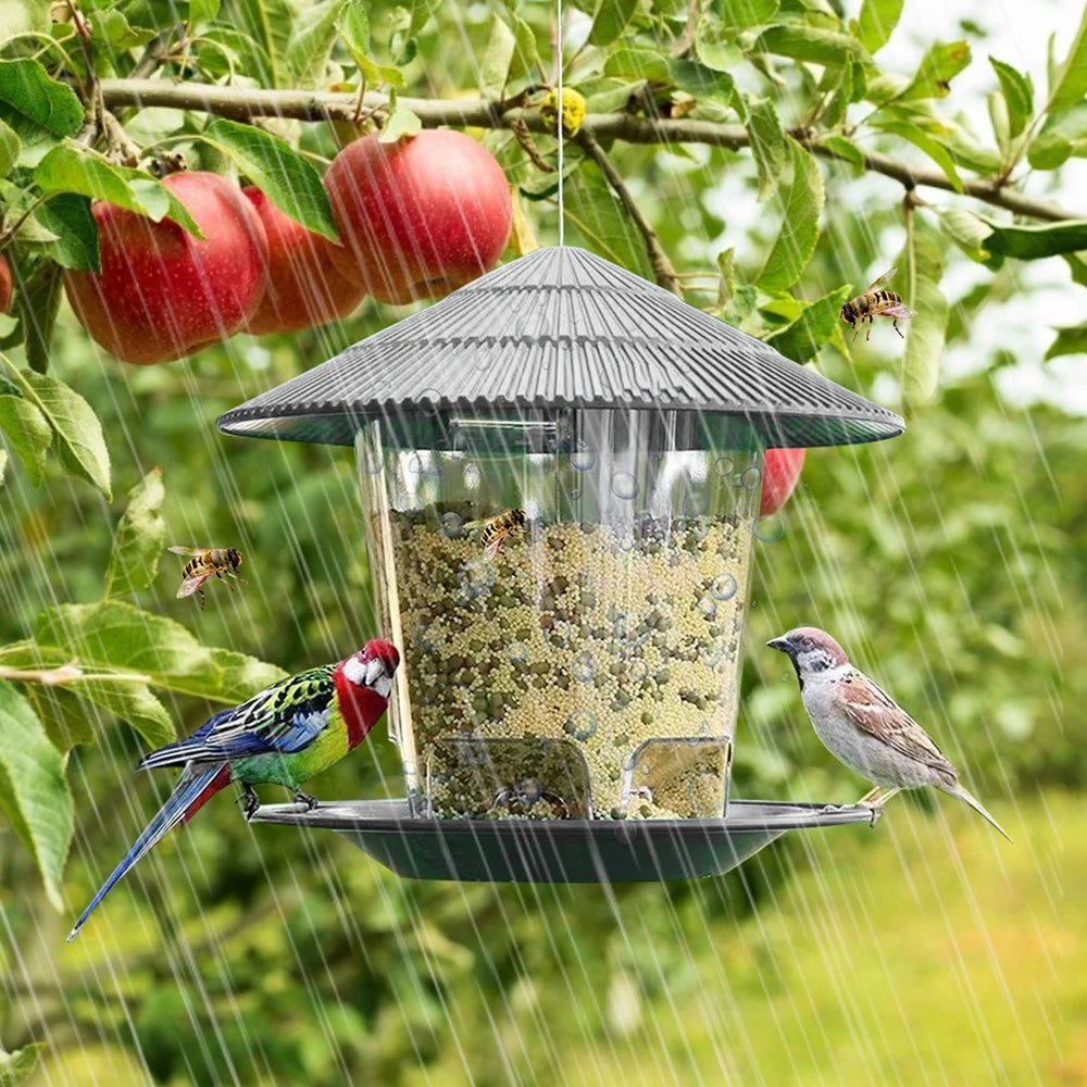 Window Bird Feeder House – Transparent Plastic Seed Dispenser & Peanut Station