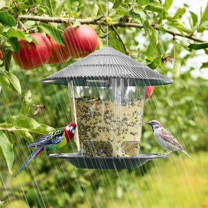 Window Bird Feeder House – Transparent Plastic Seed Dispenser & Peanut Station