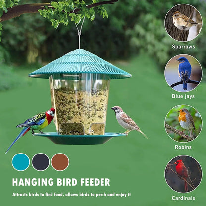 Window Bird Feeder House – Transparent Plastic Seed Dispenser & Peanut Station