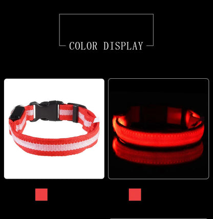 Luminous LED Night Safety Dog Leash – Glow-in-the-Dark, Flashing Nylon Leash for Night Walks